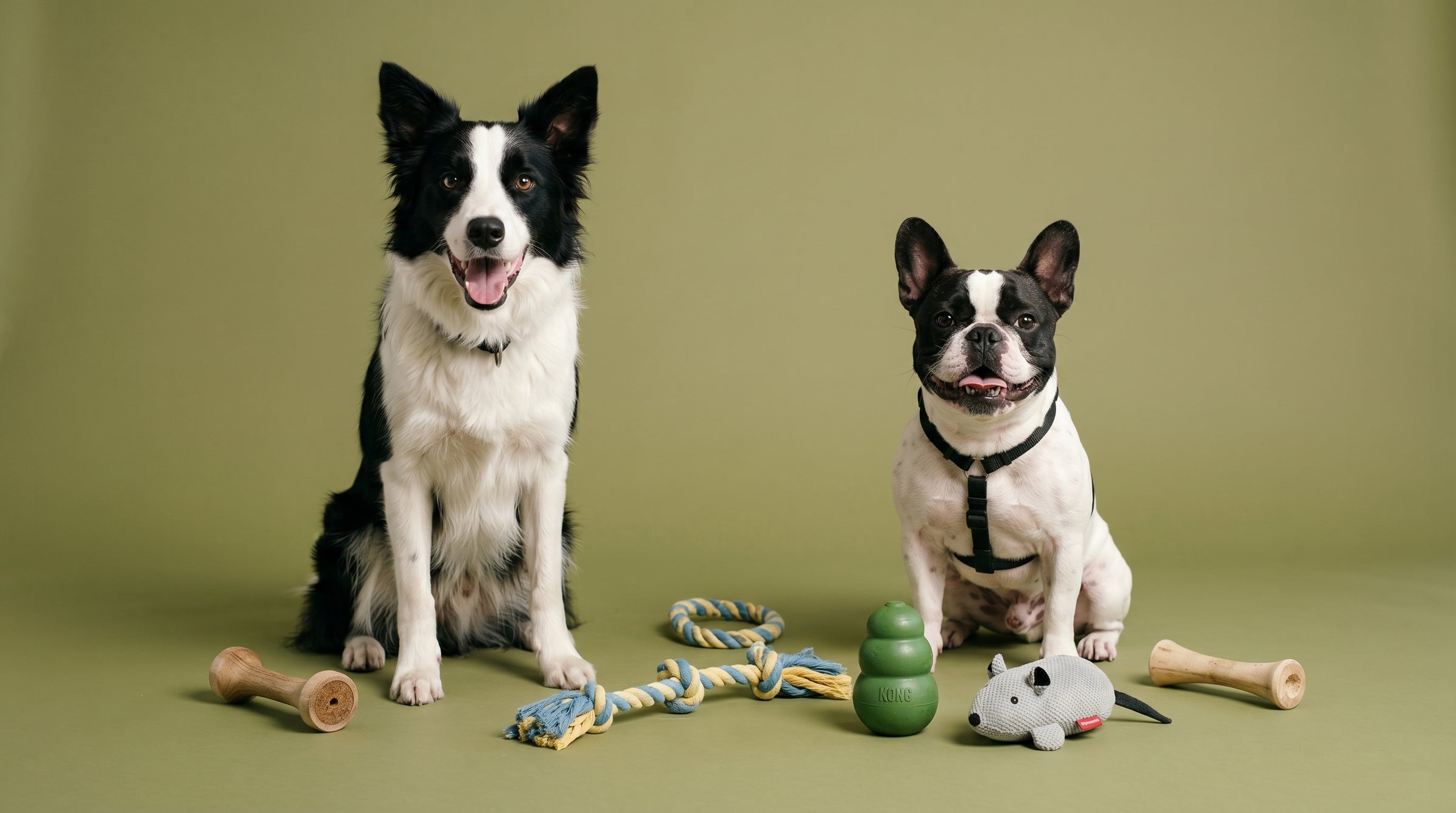 O brinquedo<br>perfeito para<br>o seu pet