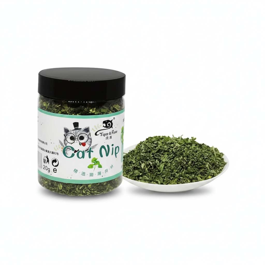 Catnip natural erva do gato planta fresca orgânica em fundo branco