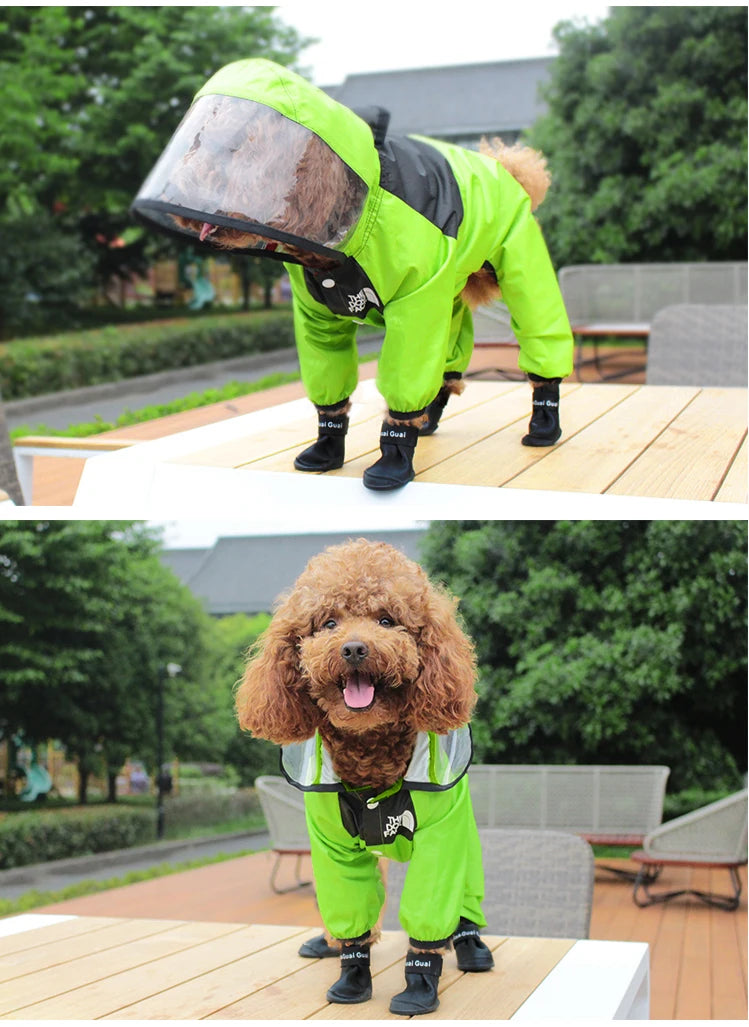 Capa de chuva impermeável para cães com capuz em fundo branco