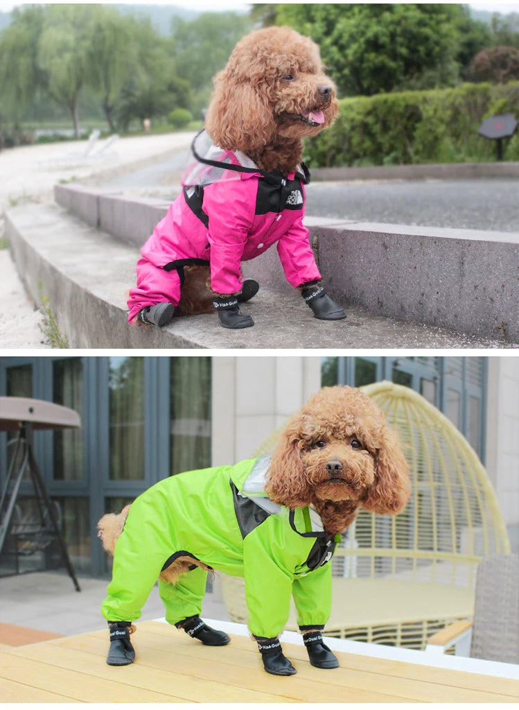 Capa de chuva impermeável para cães com capuz em fundo branco