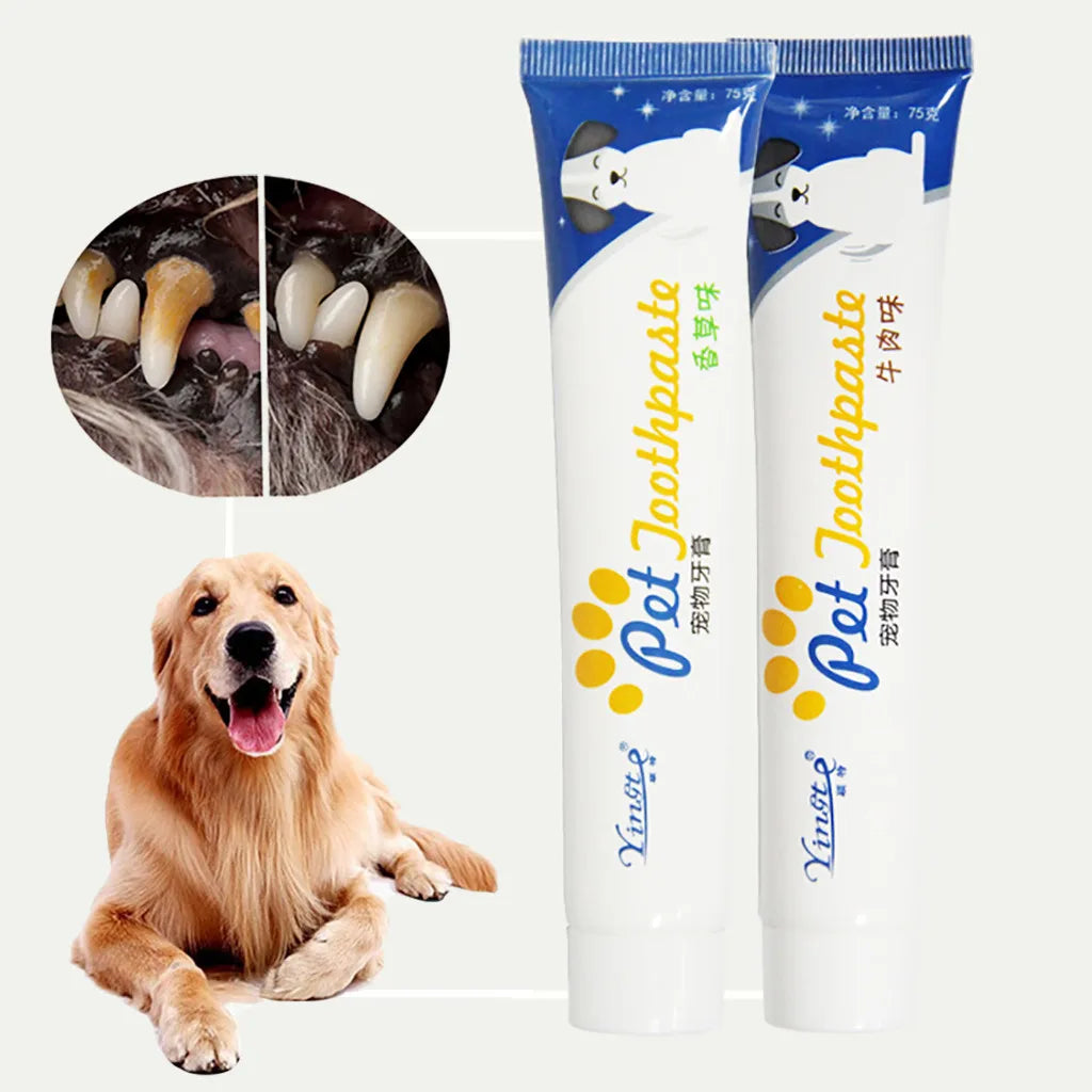 Creme dental enzimático para pet cães e gatos em fundo branco