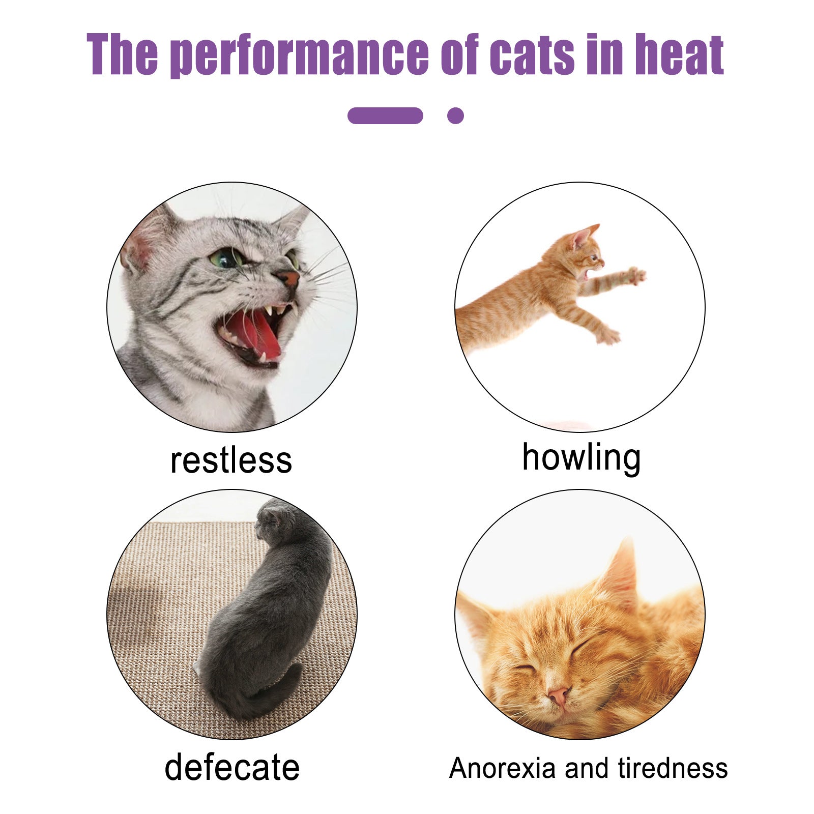 Spray calmante com feromônio para cães e gatos em fundo branco