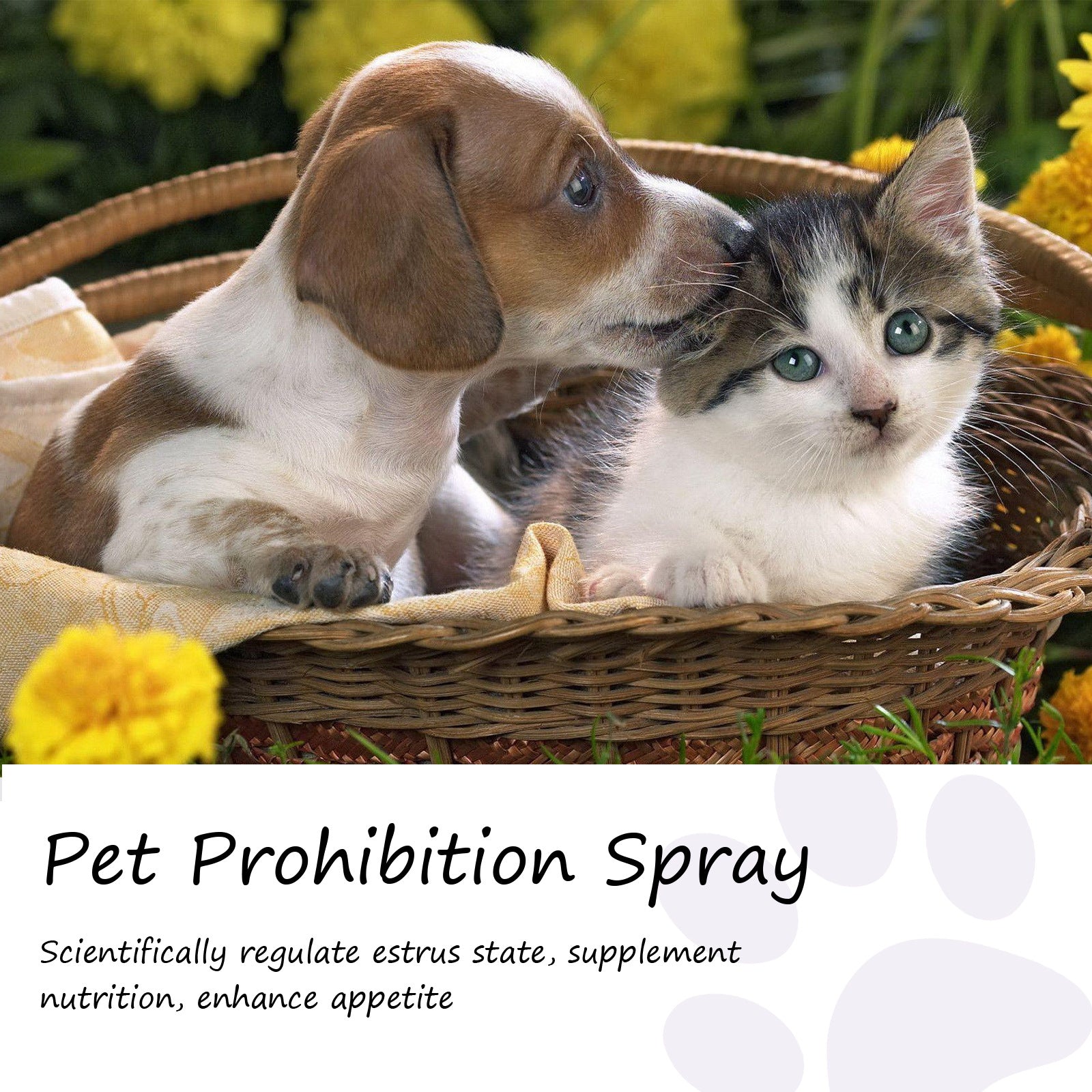Spray calmante com feromônio para cães e gatos em fundo branco