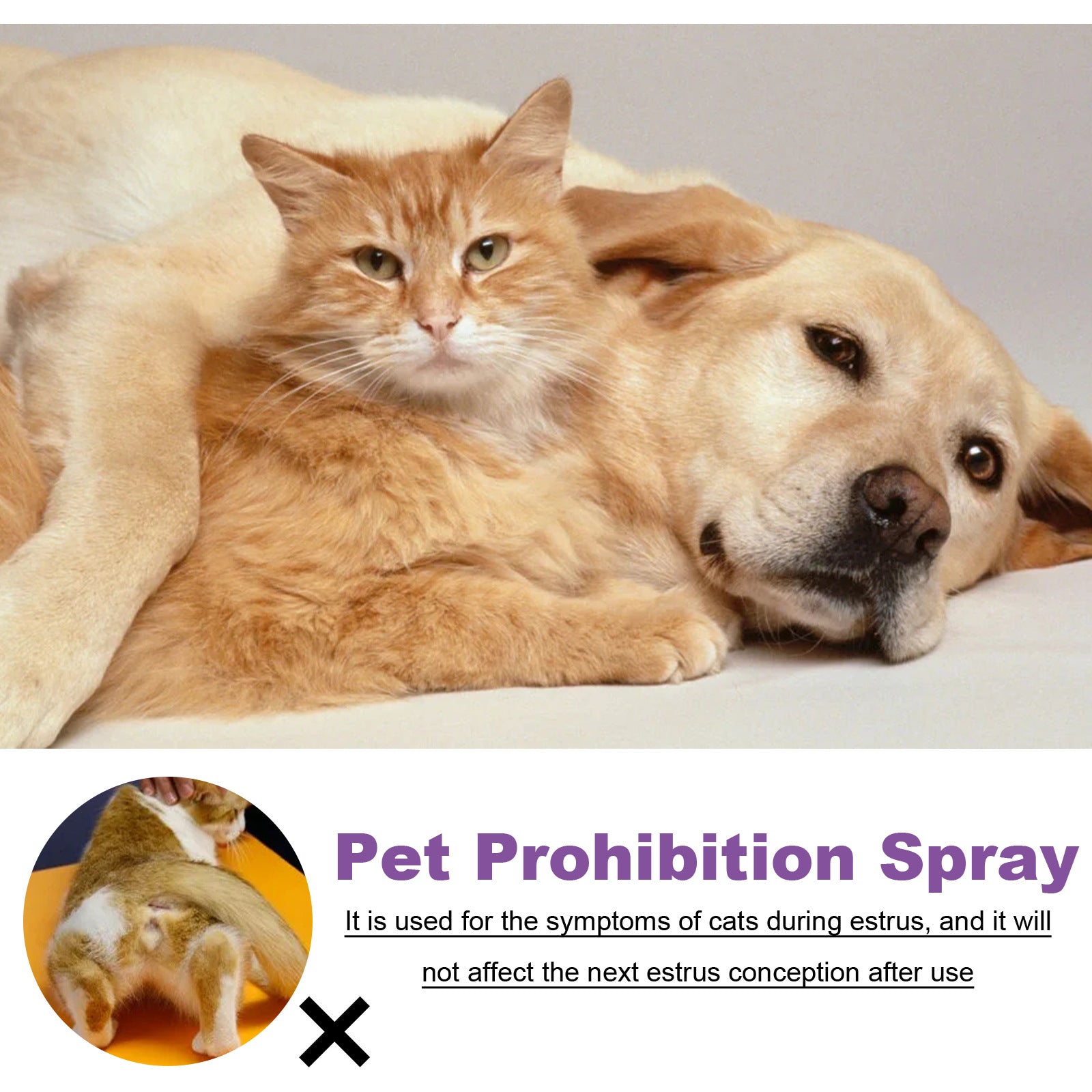 Spray calmante com feromônio para cães e gatos em fundo branco