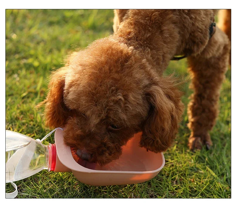 Garrafa bebedouro portátil para cães dobrável com tigela integrada em fundo branco
