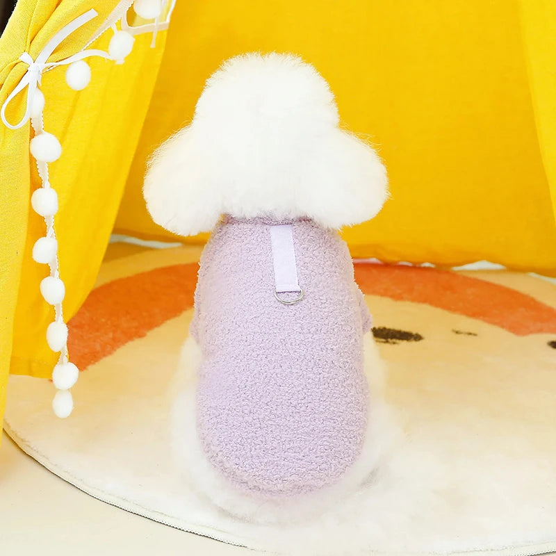 Roupinha suéter de inverno para cães em tricô macio com gola alta em fundo branco