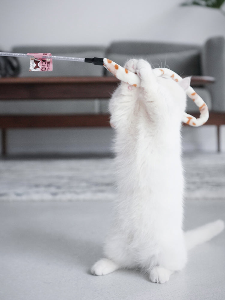 Varinha interativa com penas e sino para gatos em fundo branco