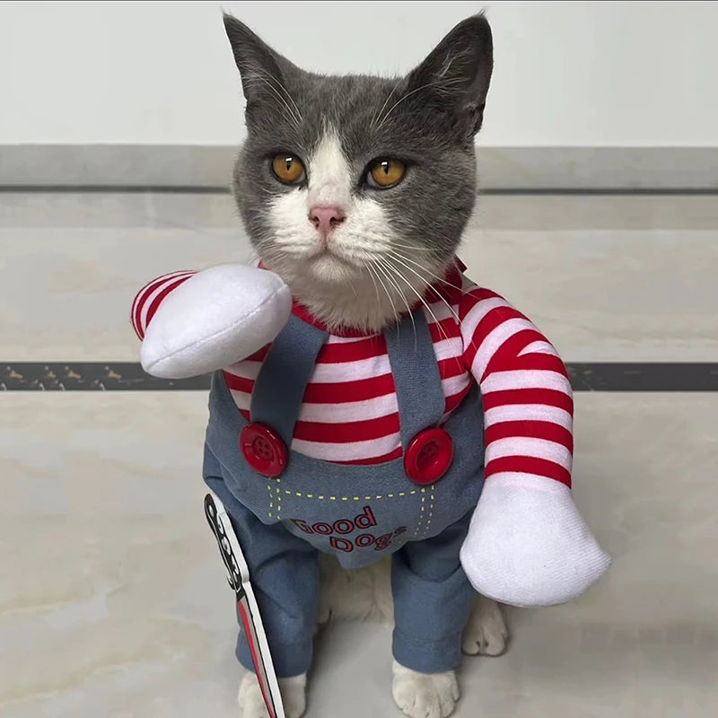 Fantasia para pets halloween cosplay divertida para cães e gatos em fundo branco