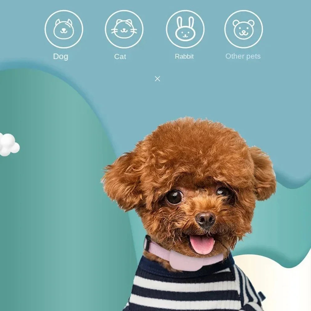 Rastreador GPS para cães e gatos à prova d'água com coleira ajustável em fundo branco