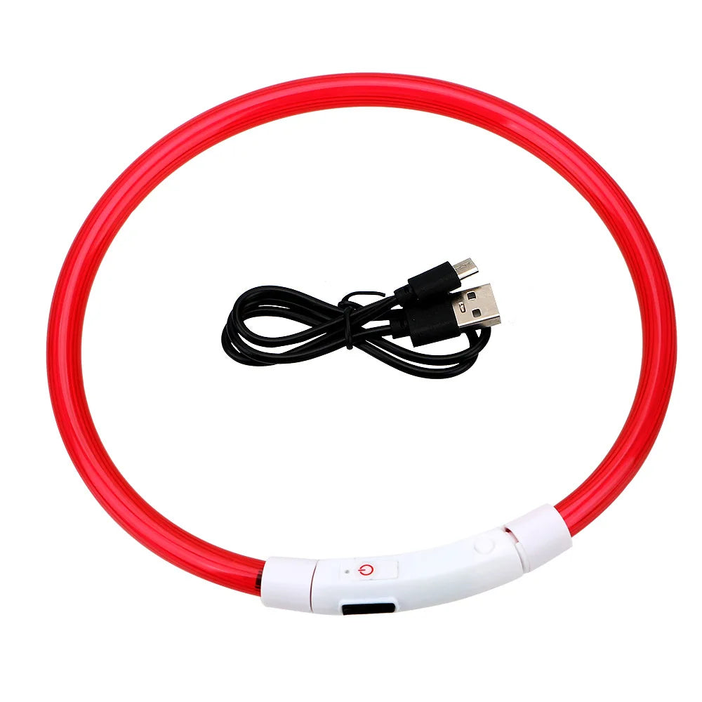 Coleira LED USB recarregável para cães em fundo branco