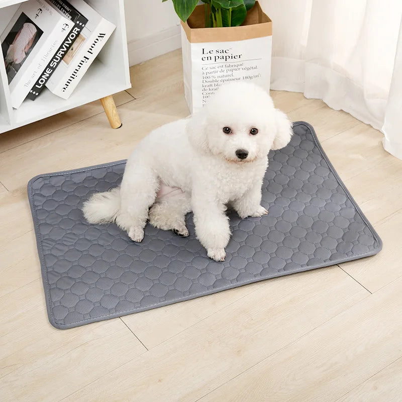 Tapete higiênico lavável reutilizável para cães em fundo branco