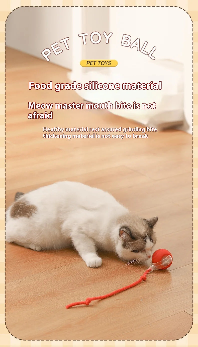 Bola LED inteligente com sensor de movimento brinquedo para gato em fundo branco