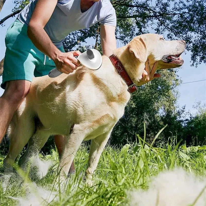 Escova tira pelos autolimpante para cães e gatos em fundo branco