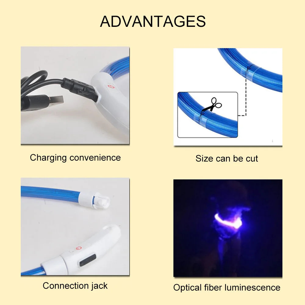 Coleira LED USB recarregável para cães em fundo branco
