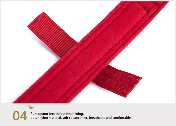 Kit coleira e guia tática nylon reflexiva em fundo branco