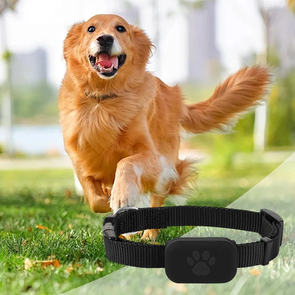 Rastreador GPS para cães e gatos à prova d'água com coleira ajustável em fundo branco