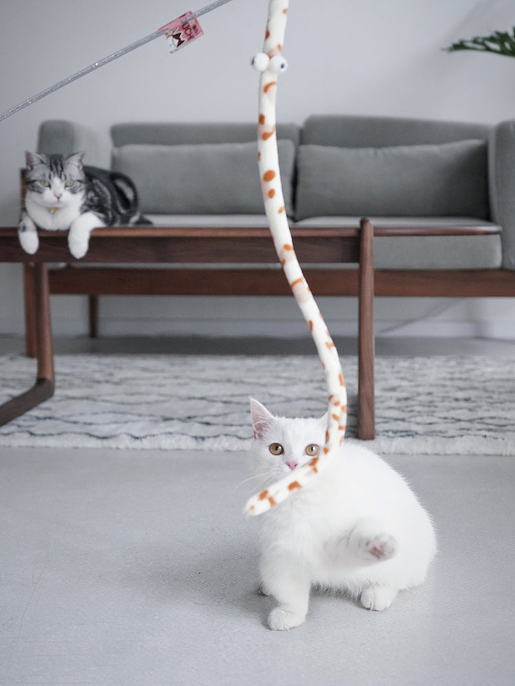 Varinha interativa com penas e sino para gatos em fundo branco