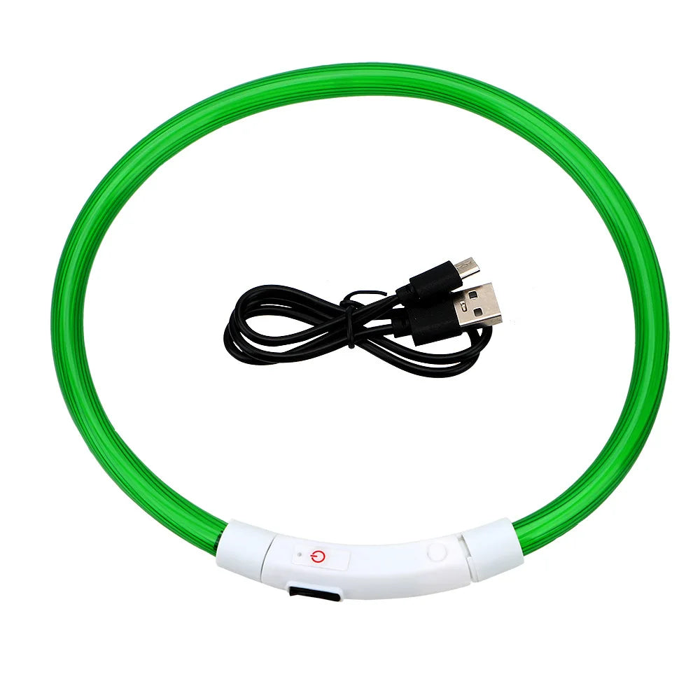 Coleira LED USB recarregável para cães em fundo branco