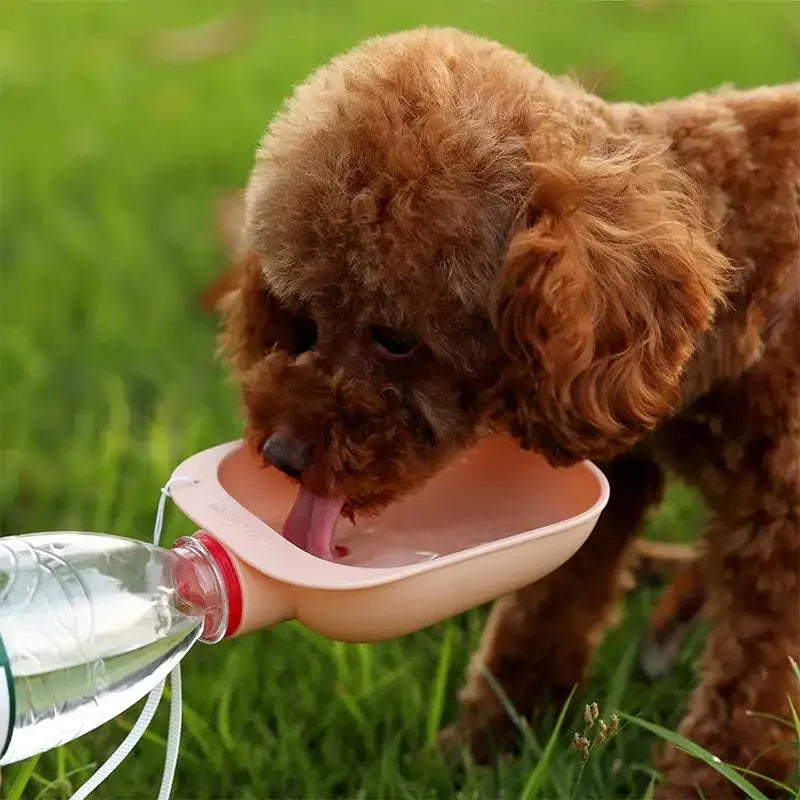 Garrafa bebedouro portátil para cães dobrável com tigela integrada em fundo branco