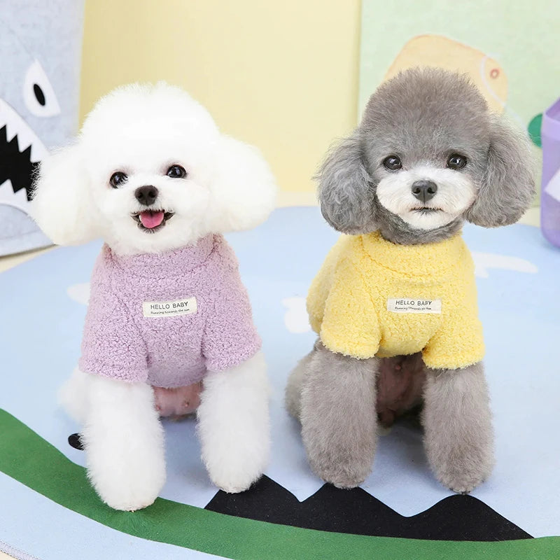 Roupinha suéter de inverno para cães em tricô macio com gola alta em fundo branco
