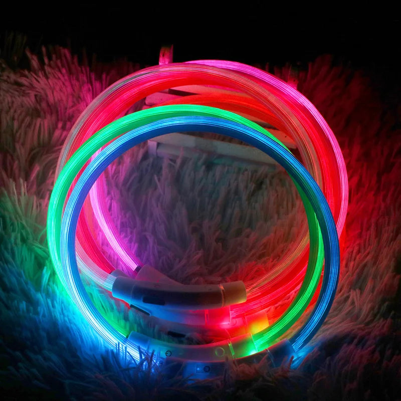 Coleira LED USB recarregável para cães em fundo branco