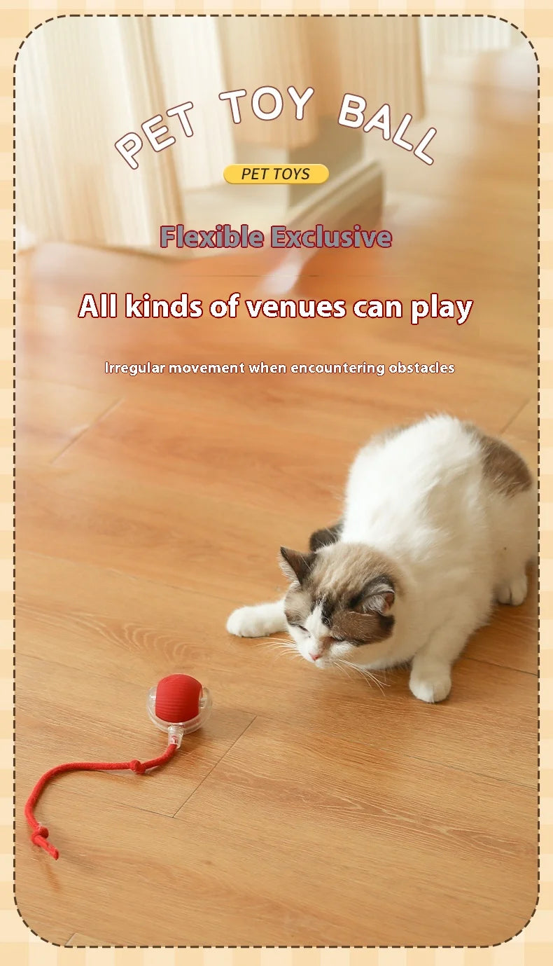 Bola LED inteligente com sensor de movimento brinquedo para gato em fundo branco