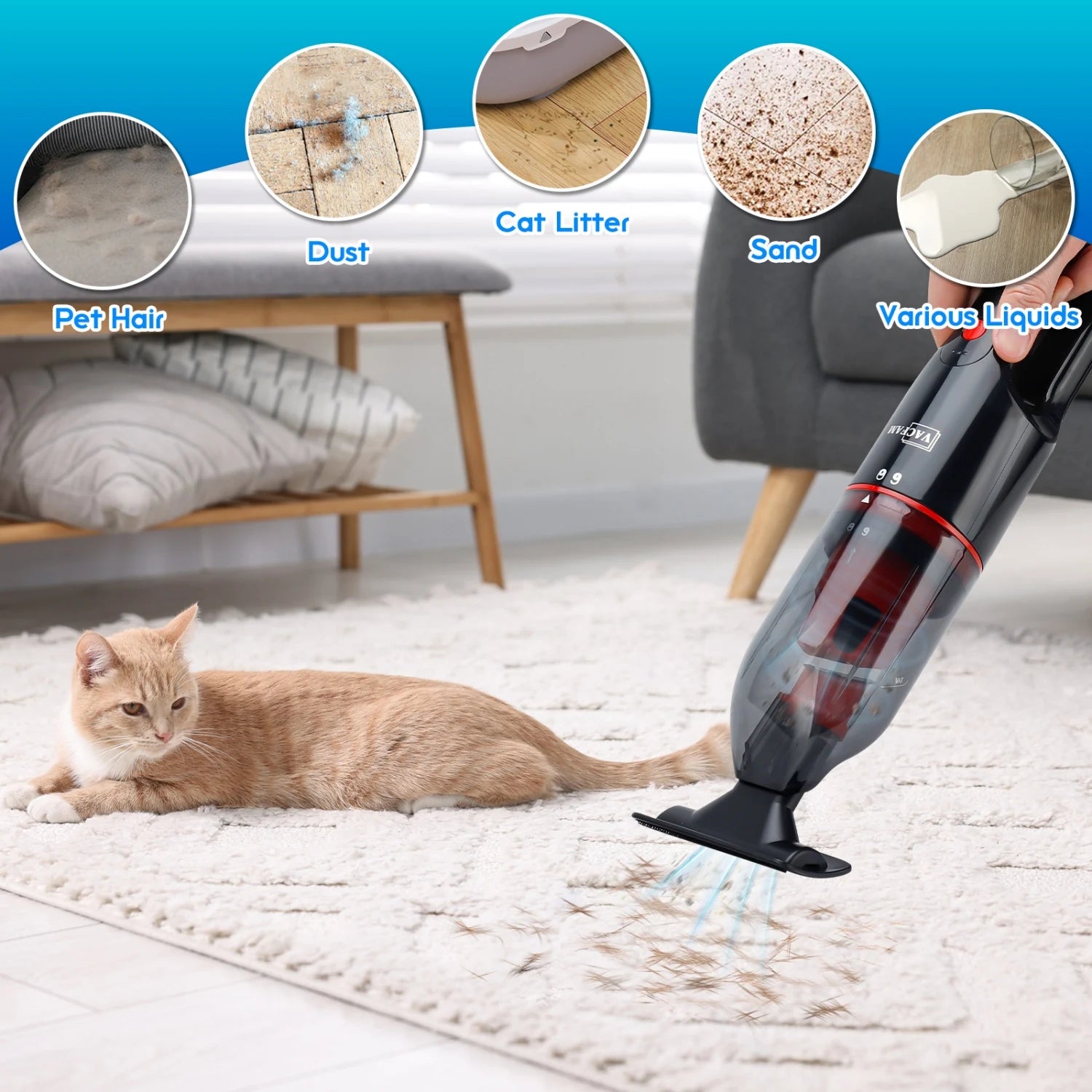 Mini aspirador portátil seco e molhado com escova para pets em fundo branco