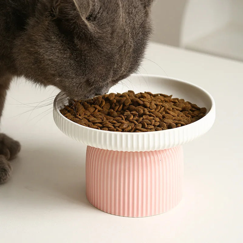 Tigela elevada de cerâmica para gatos e cães antiderrapante ergonômica em fundo branco