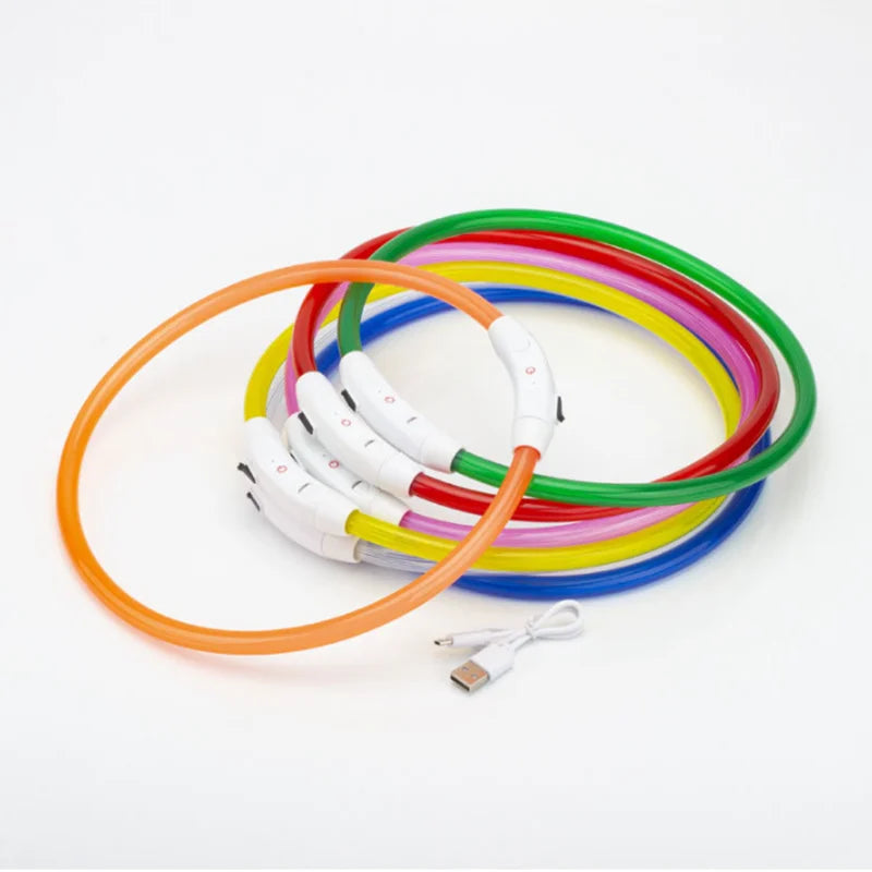 Coleira LED USB recarregável para cães em fundo branco
