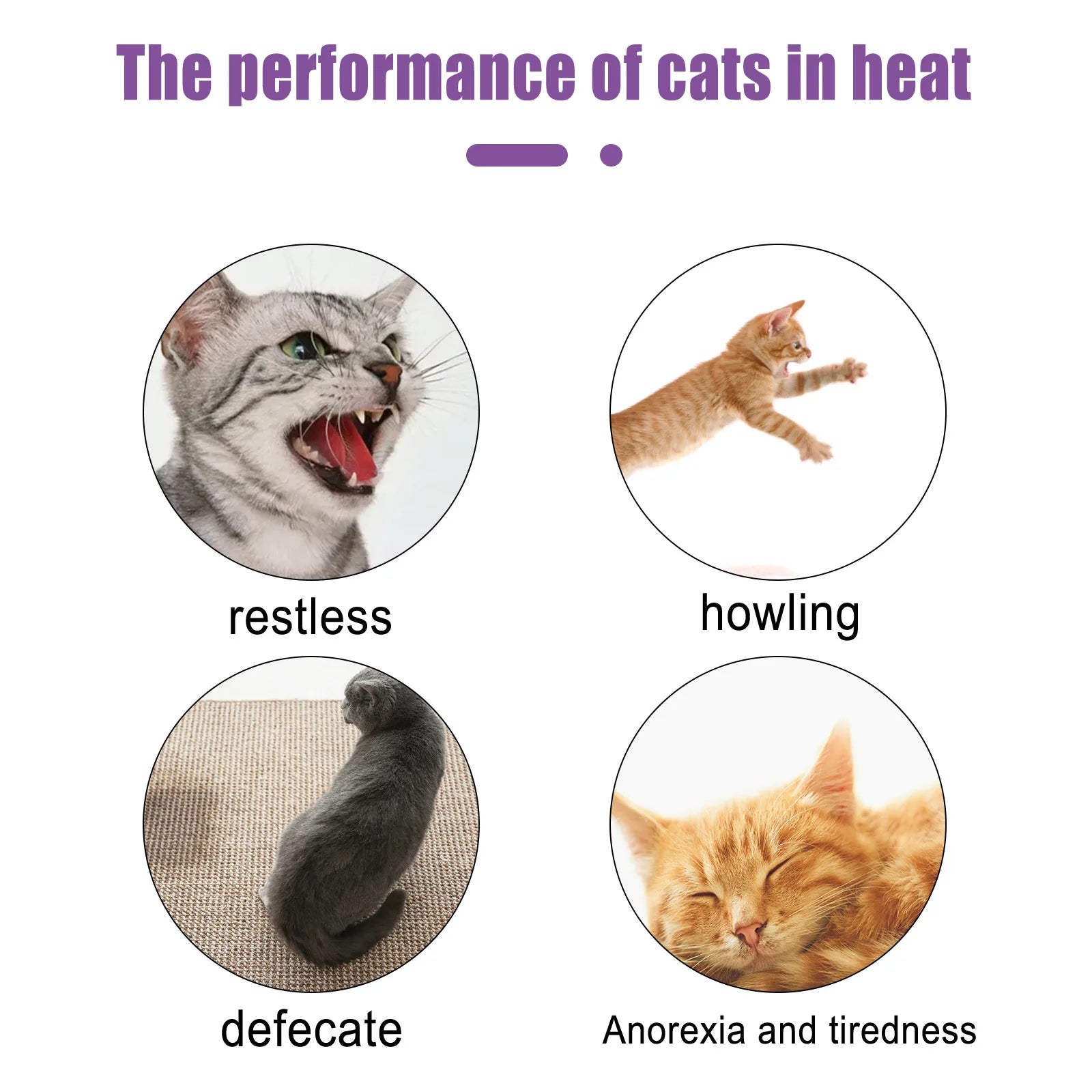 Spray calmante com feromônio para cães e gatos em fundo branco
