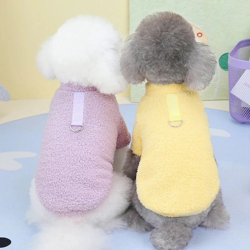 Roupinha suéter de inverno para cães em tricô macio com gola alta em fundo branco