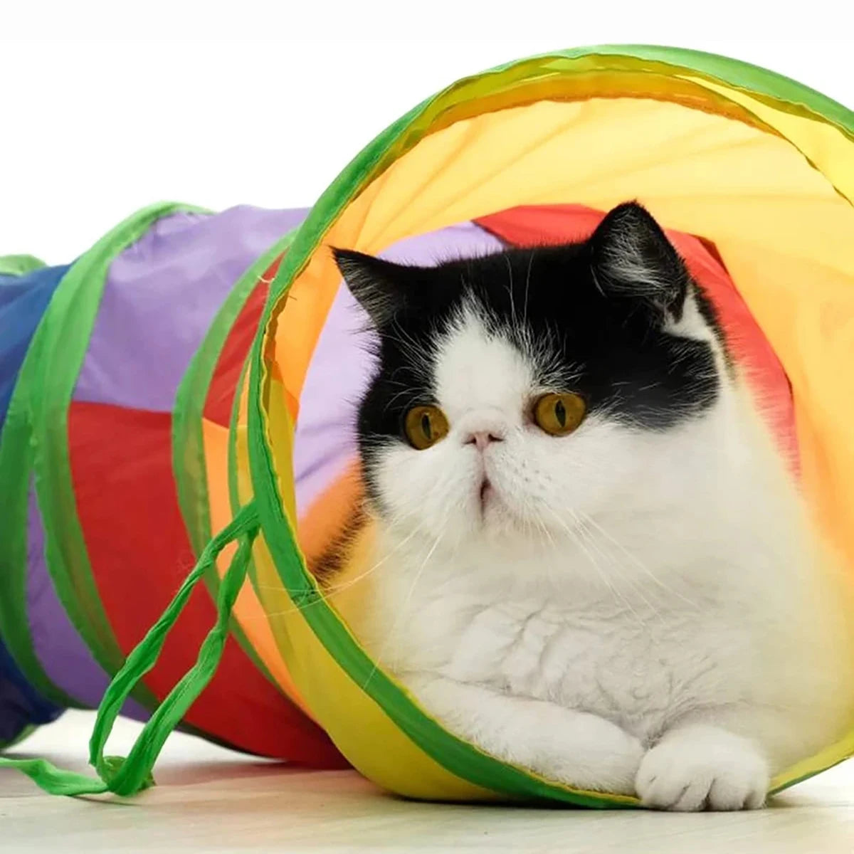 Túnel dobrável para gatos brinquedo interativo em fundo branco