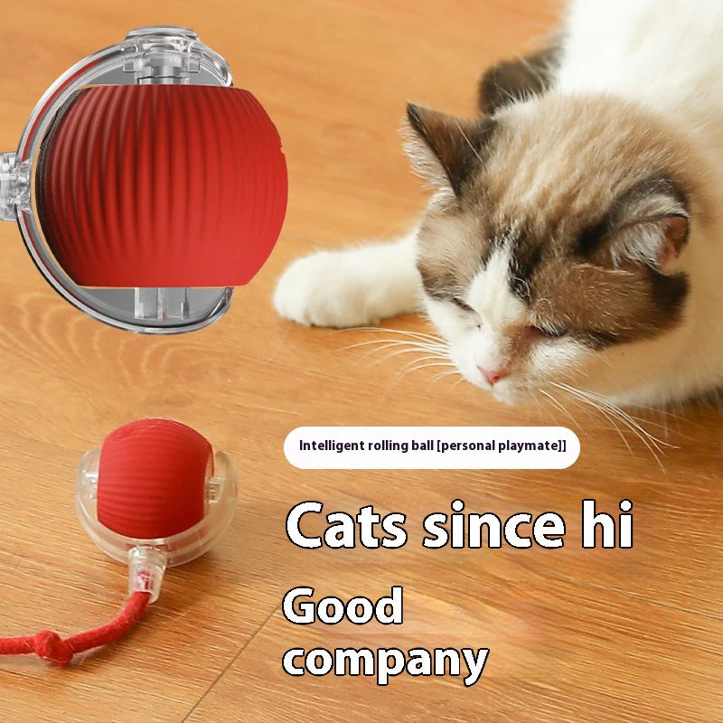 Bola LED inteligente com sensor de movimento brinquedo para gato em fundo branco