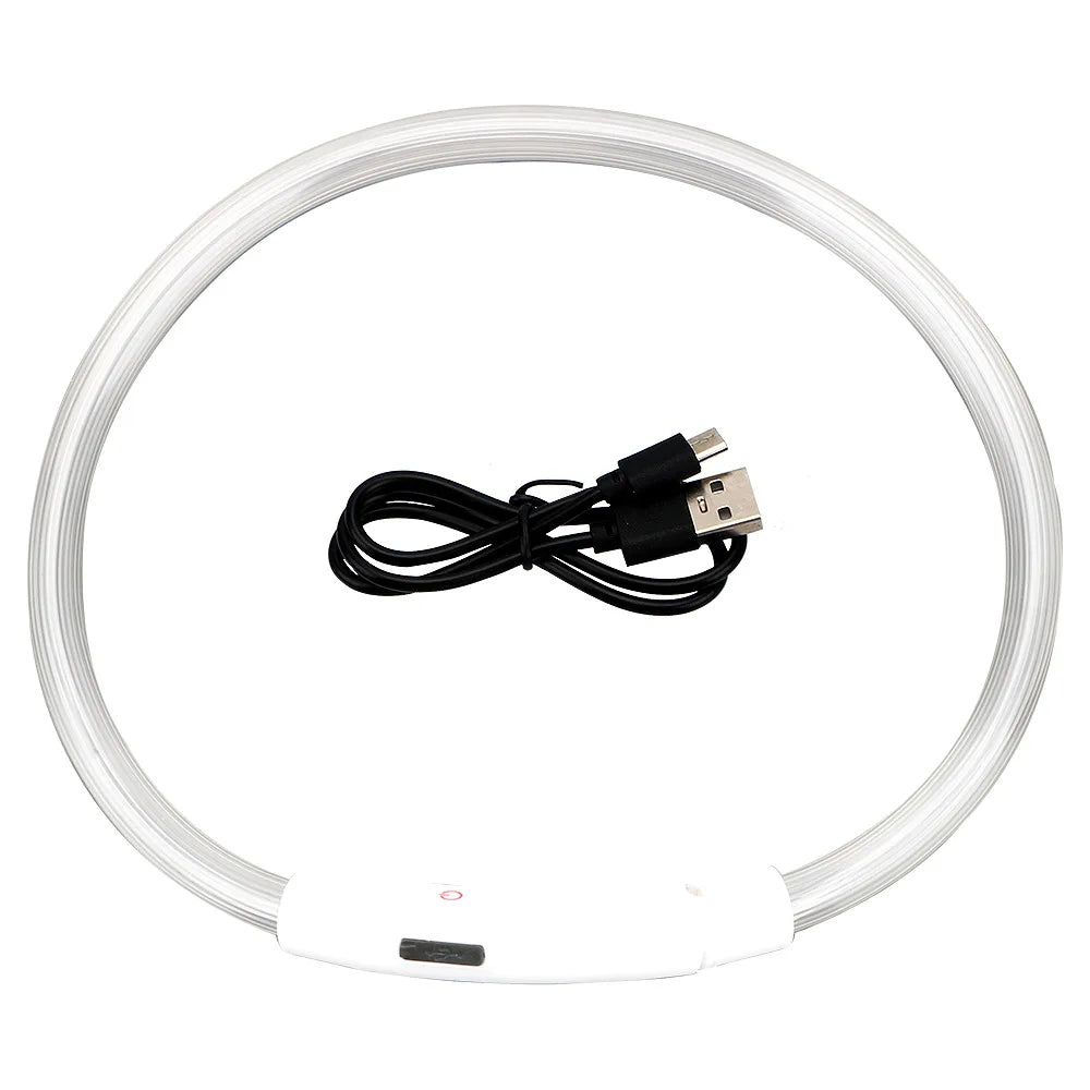 Coleira LED USB recarregável para cães em fundo branco
