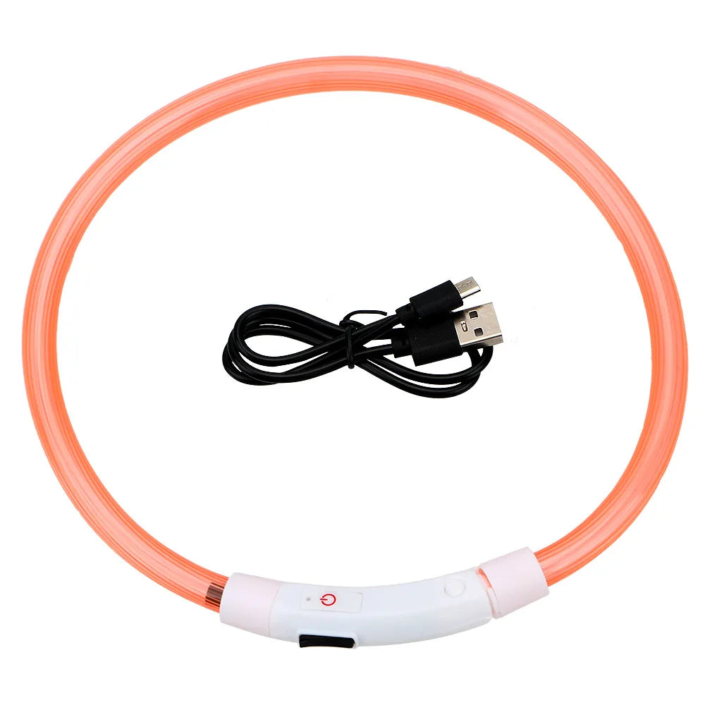 Coleira LED USB recarregável para cães em fundo branco