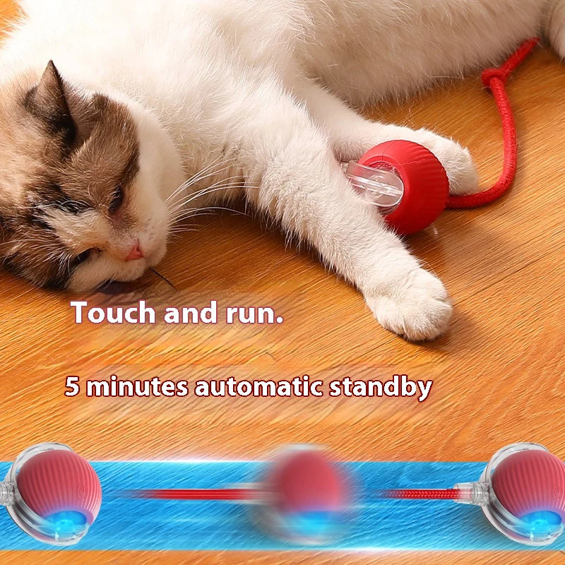 Bola LED inteligente com sensor de movimento brinquedo para gato em fundo branco