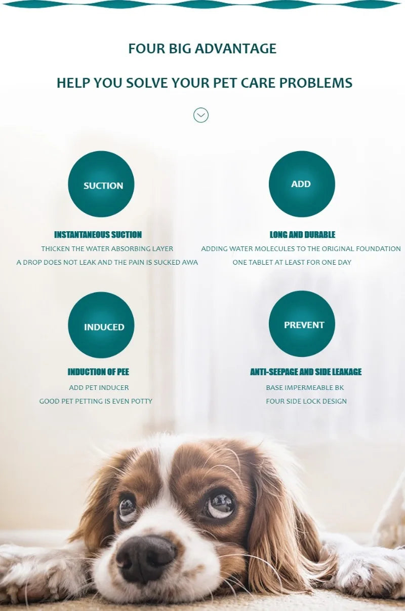Tapete higiênico lavável reutilizável para cães em fundo branco