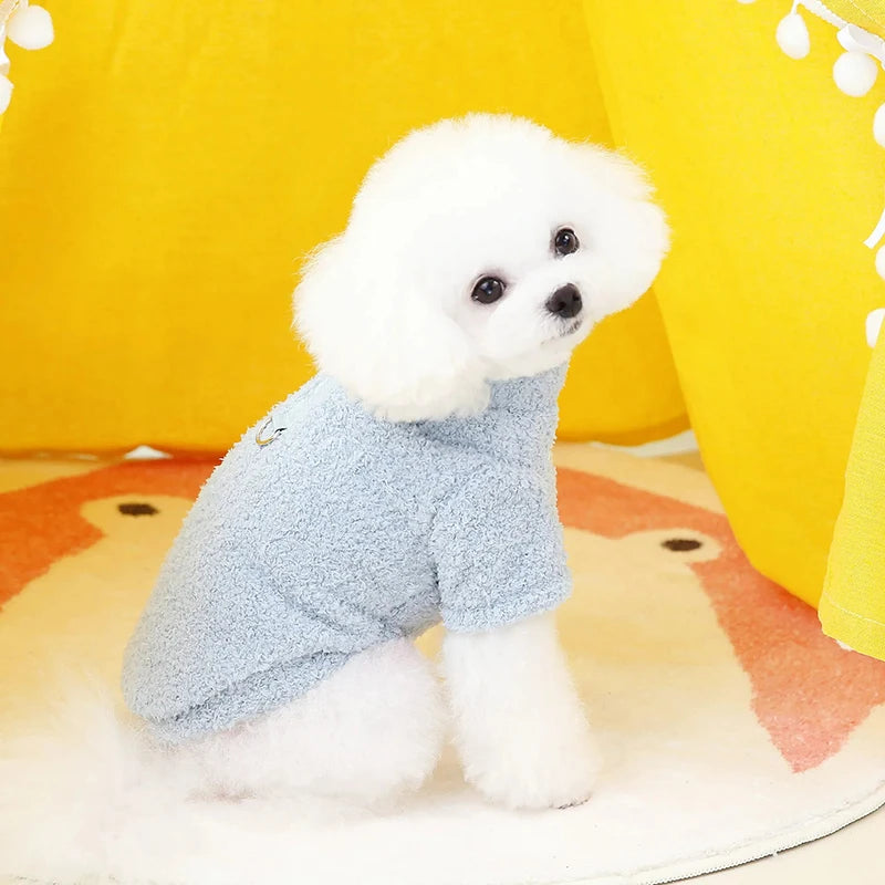 Roupinha suéter de inverno para cães em tricô macio com gola alta em fundo branco