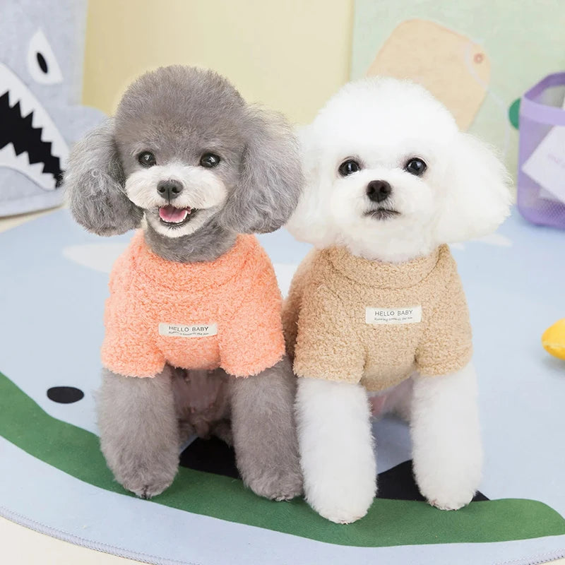 Roupinha suéter de inverno para cães em tricô macio com gola alta em fundo branco