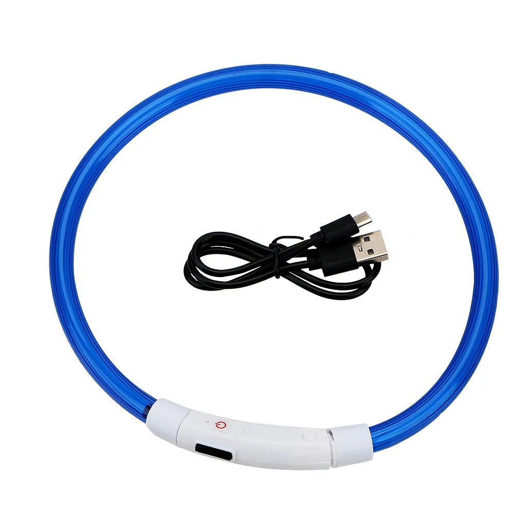 Coleira LED USB recarregável para cães em fundo branco