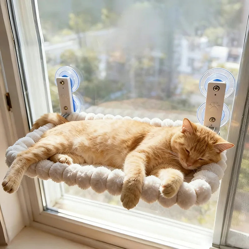 Rede de janela com suporte ventosa para gato em fundo branco