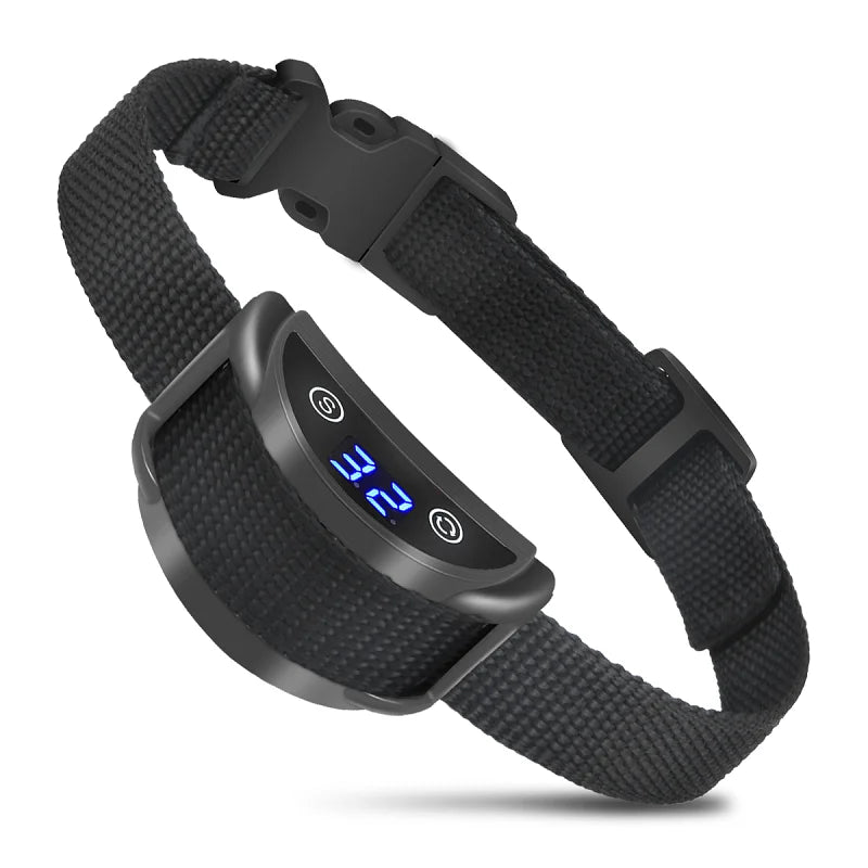 Clicker de treinamento com alça de pulso em fundo branco