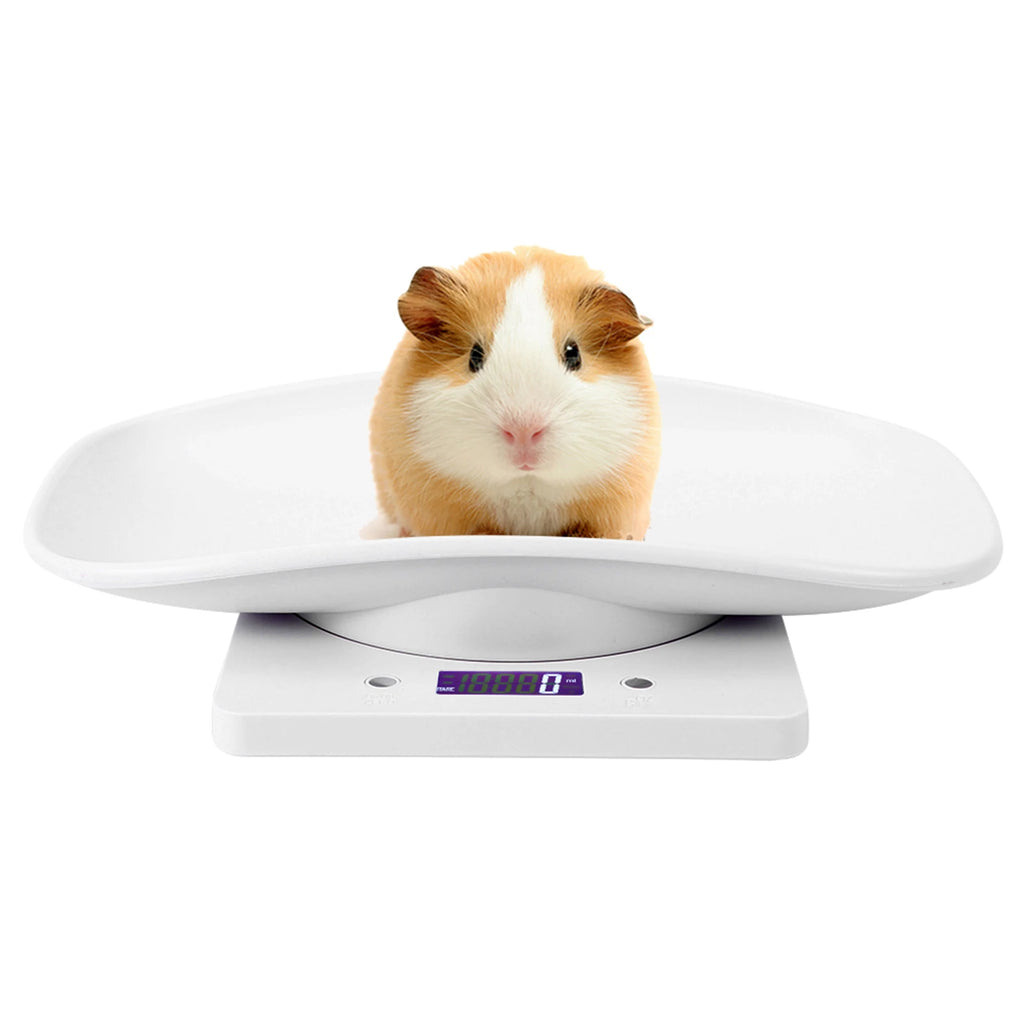 Balança digital para pet pequeno 10kg precisão 1g em fundo branco