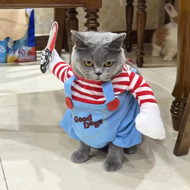 Fantasia para pets halloween cosplay divertida para cães e gatos em fundo branco