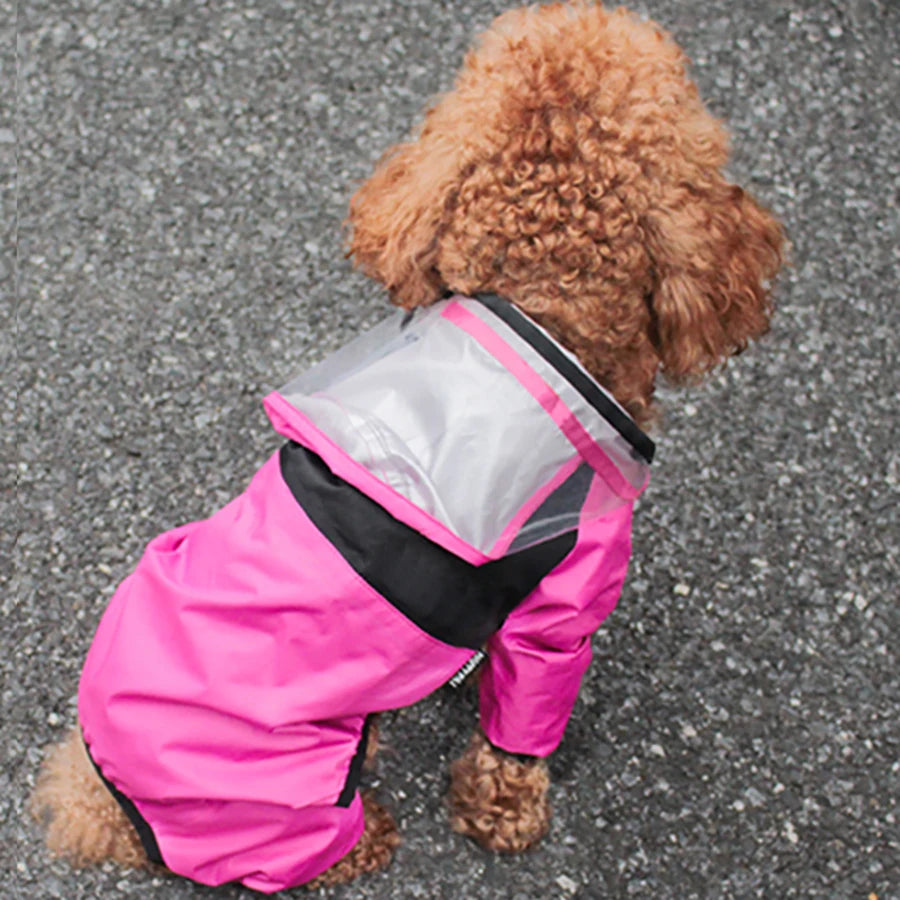 Capa de chuva impermeável para cães com capuz em fundo branco
