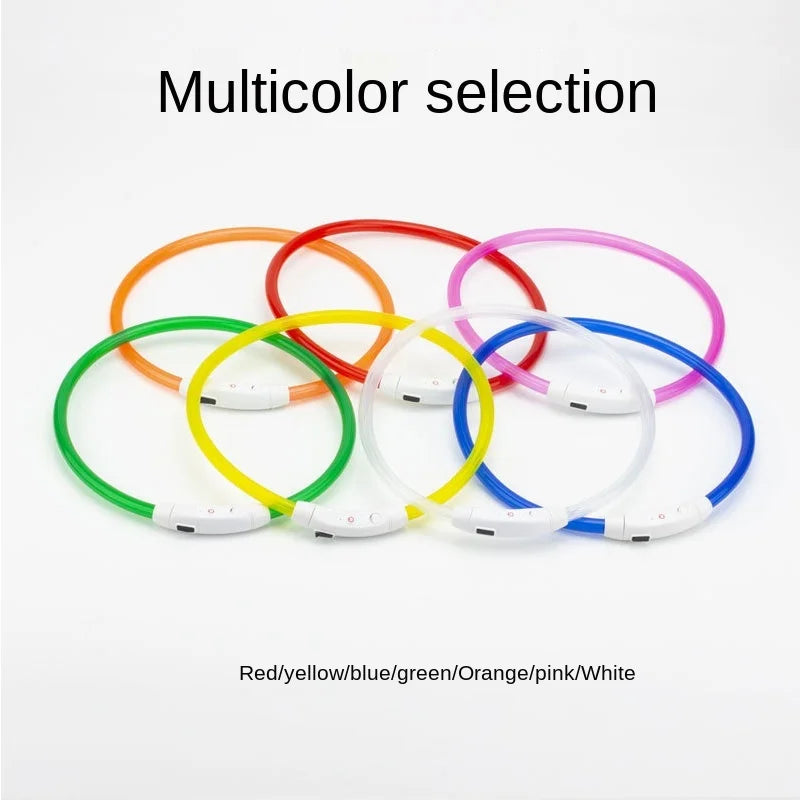 Coleira LED USB recarregável para cães em fundo branco