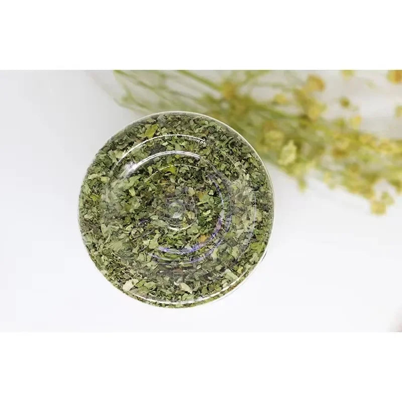 Catnip natural erva do gato planta fresca orgânica em fundo branco