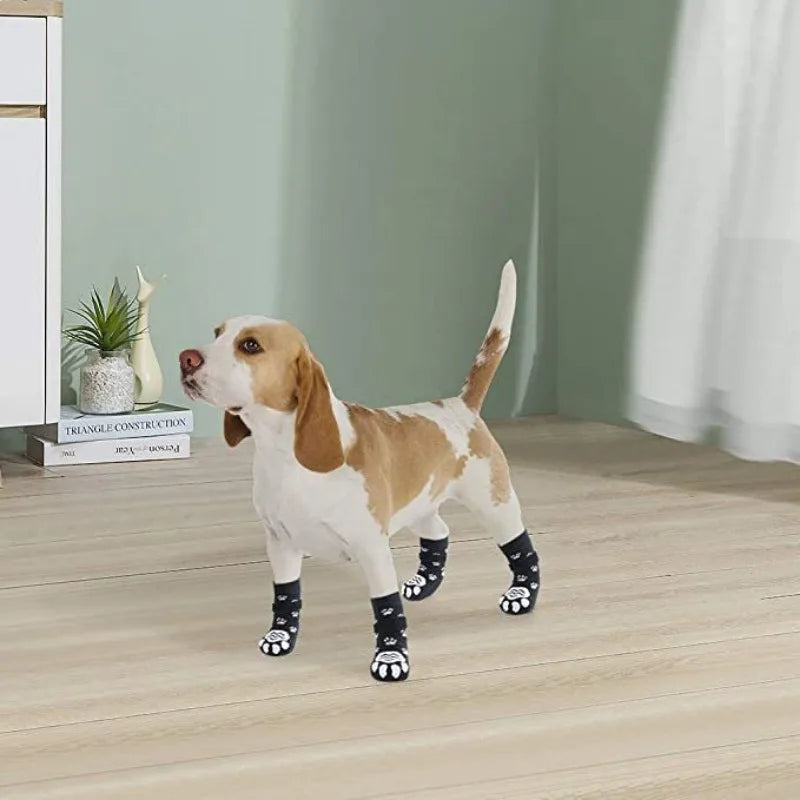 Meias antiderrapantes para cães kit 4 unidades em fundo branco