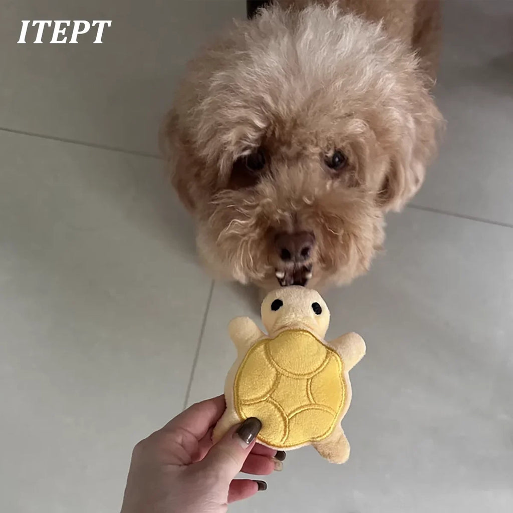 Brinquedo mordedor para cães tartaruga de pelúcia resistente em fundo branco