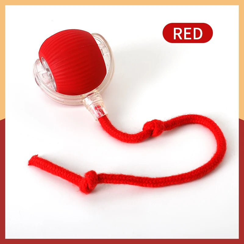 Bola LED inteligente com sensor de movimento brinquedo para gato em fundo branco